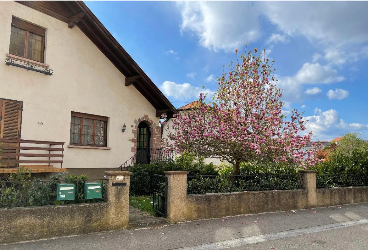 Villa Schmitt سليستا المظهر الخارجي الصورة