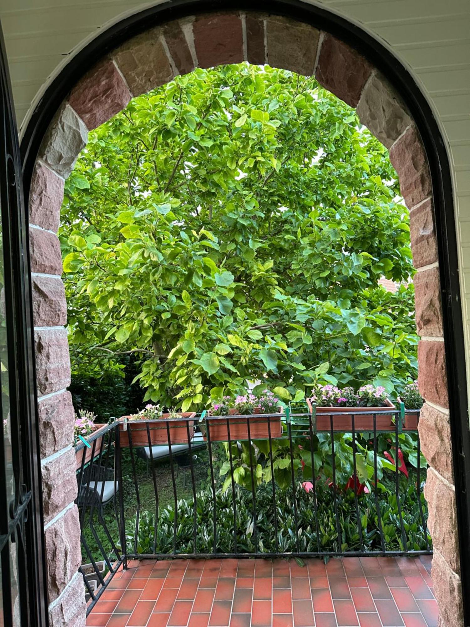 Villa Schmitt سليستا المظهر الخارجي الصورة
