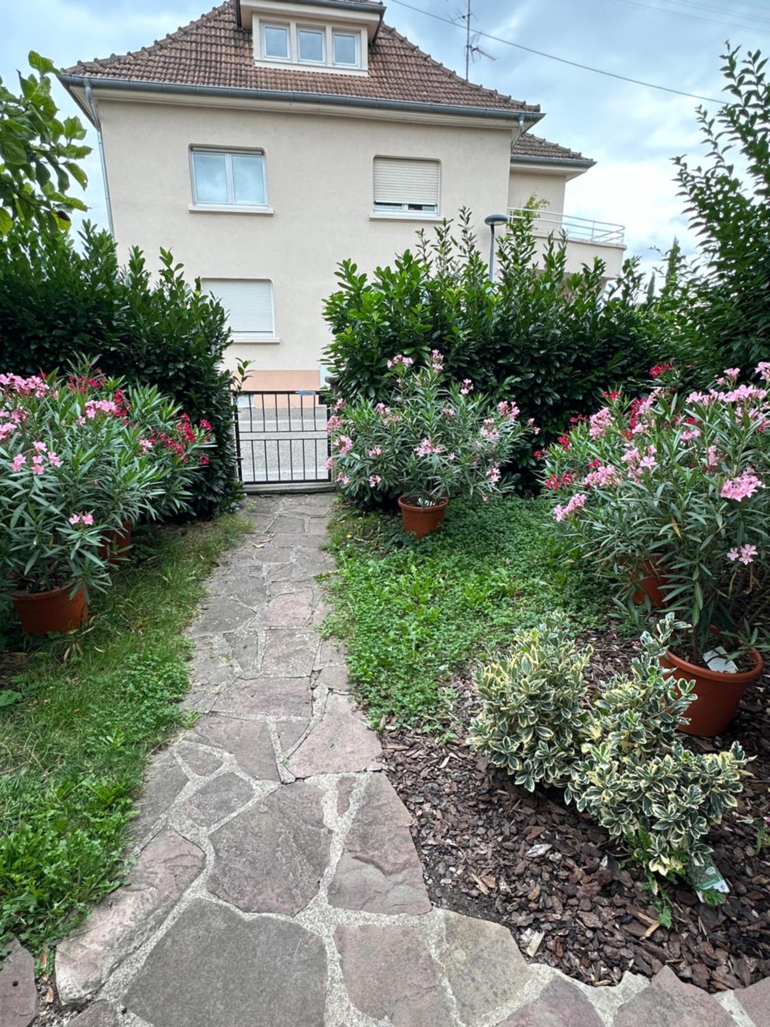 Villa Schmitt سليستا المظهر الخارجي الصورة