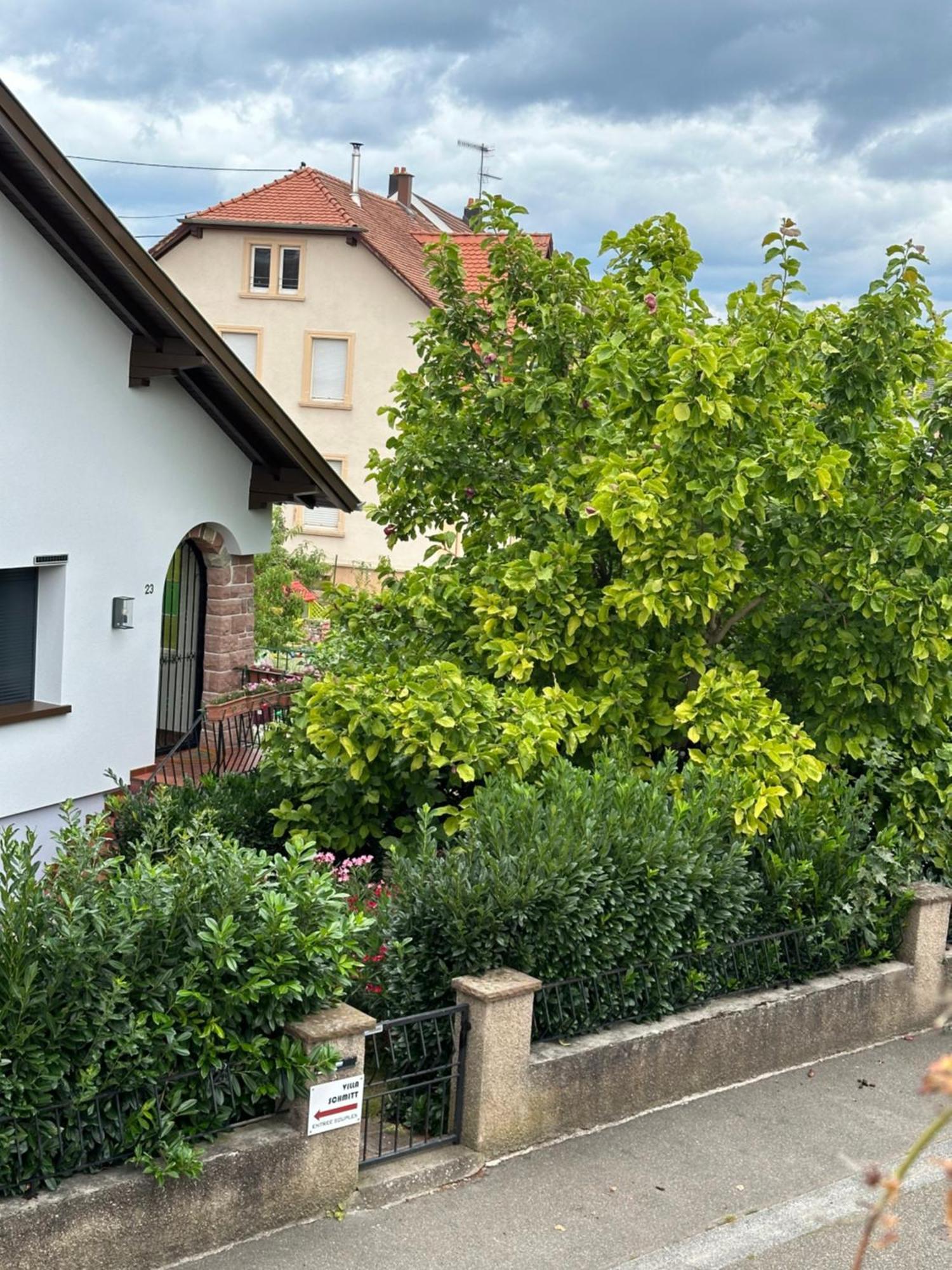 Villa Schmitt سليستا المظهر الخارجي الصورة